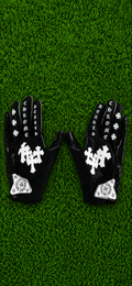 Black Chrome Gloves